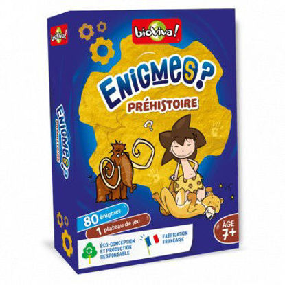 Image de ENIGMES PREHISTOIRE 200660
