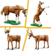 Image de LEGO LE BEAU CHEVAL 31166