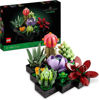 Image de Les Succulents 10309