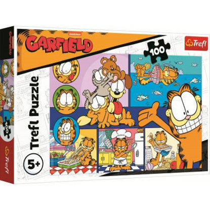 Image de PUZZLES 100 LARY GARFIELD 16521