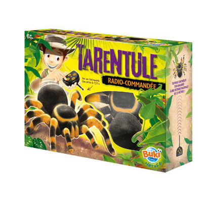Image de TARENTULE R/C 37291