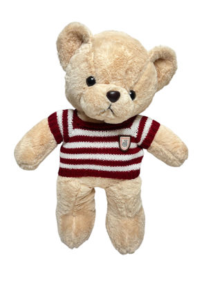 Image de OURS EN PELUCHE