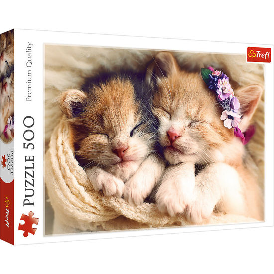 Image de PUZZLE 500 SLEEPING KITTINGS 37271