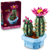 Image de Cactus fleuri 11509