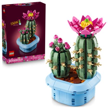 Image de Cactus fleuri 11509
