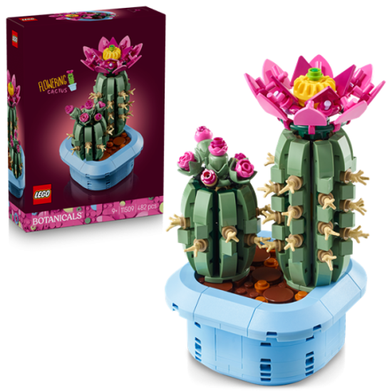 Image de Cactus fleuri 11509