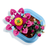 Image de Cactus fleuri 11509