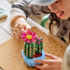Image de Cactus fleuri 11509
