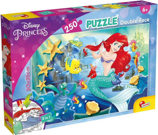 Image de PUZZLE 250PCS 91706
