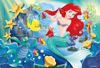 Image de PUZZLE 250PCS 91706