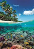 Image de Puzzle 1000 pièces SUMMER PARADISE