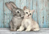 Image de Puzzle 500 pièces CAT & BUNNY