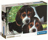 Image de Puzzle 500 pièces CLOSE TOGETHER
