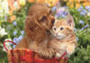 Image de Puzzle 104 pièces MAXI  NOLI CUTE FRIENDS