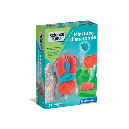 Image de MINI LABO D'ANATOMIE
