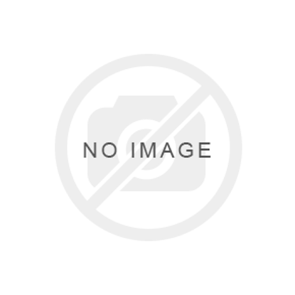 Image de LEGO LE DRAGON VERT DE LA FORET LIOD 71829
